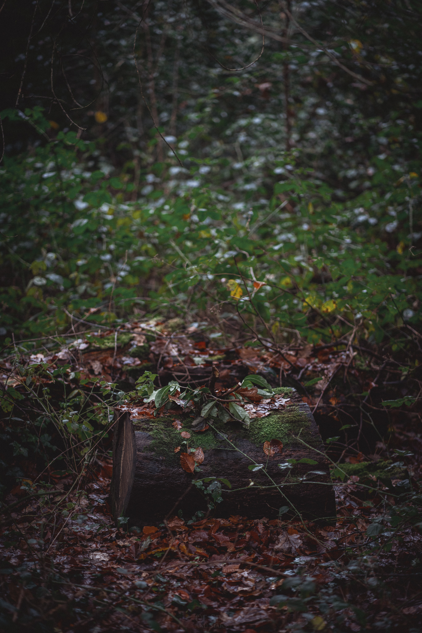 image 143