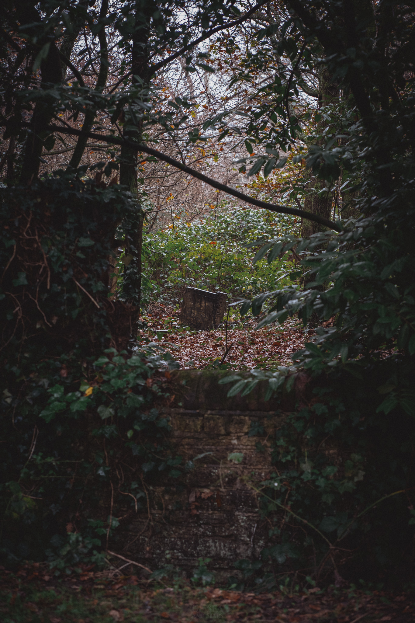 image 156