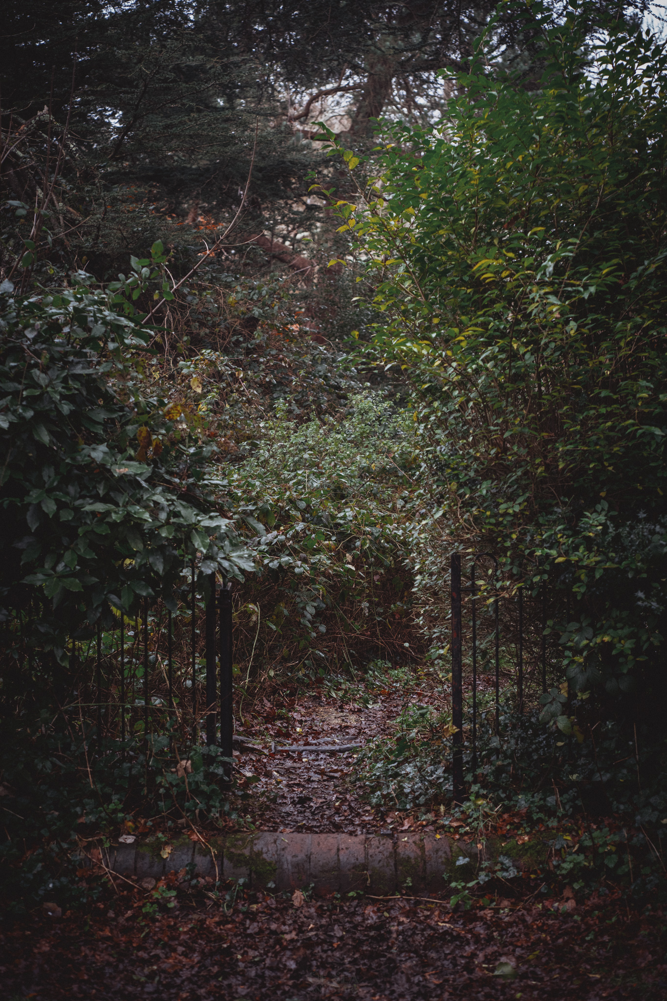 image 159
