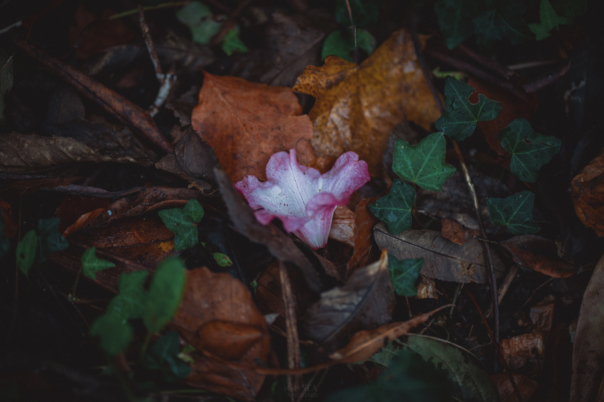 image 165