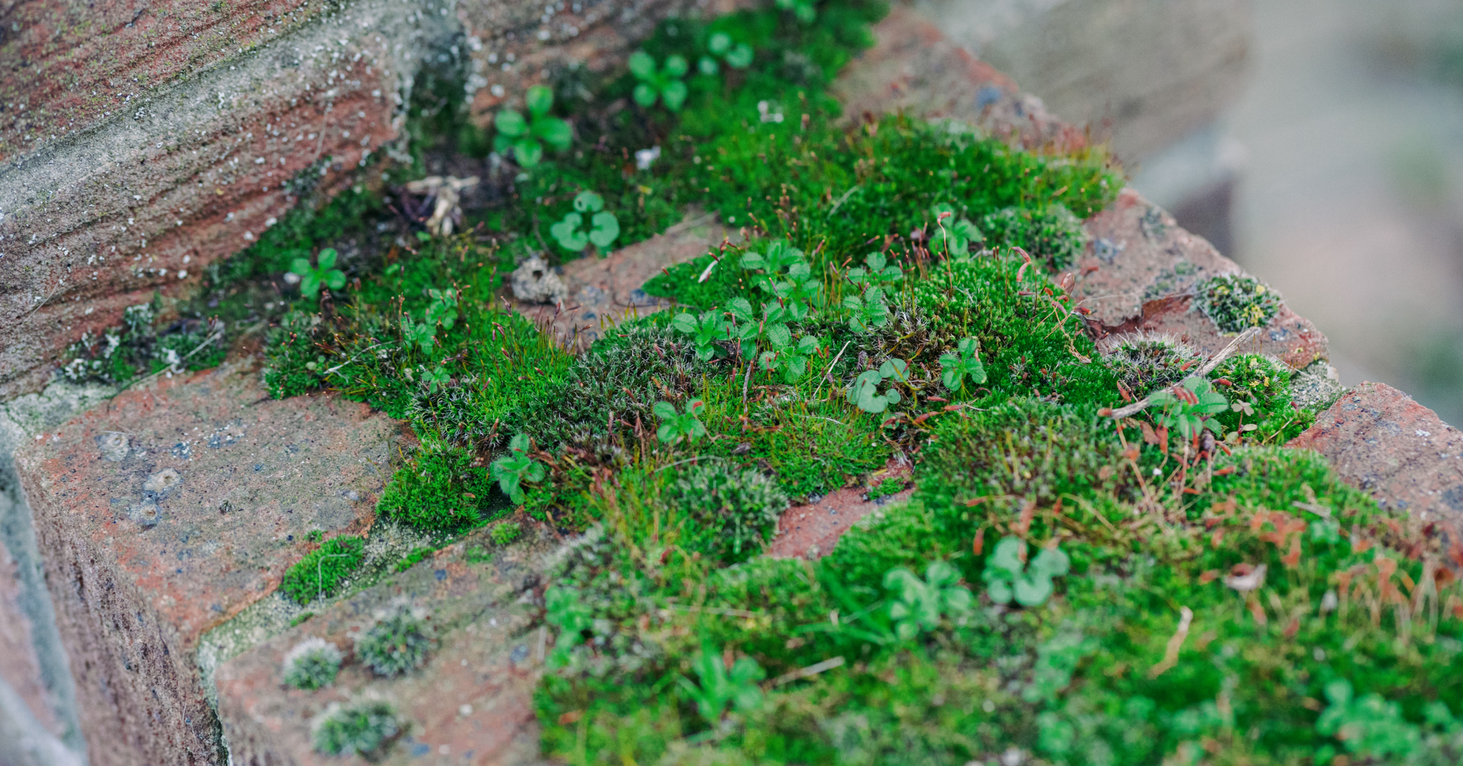 image 177
