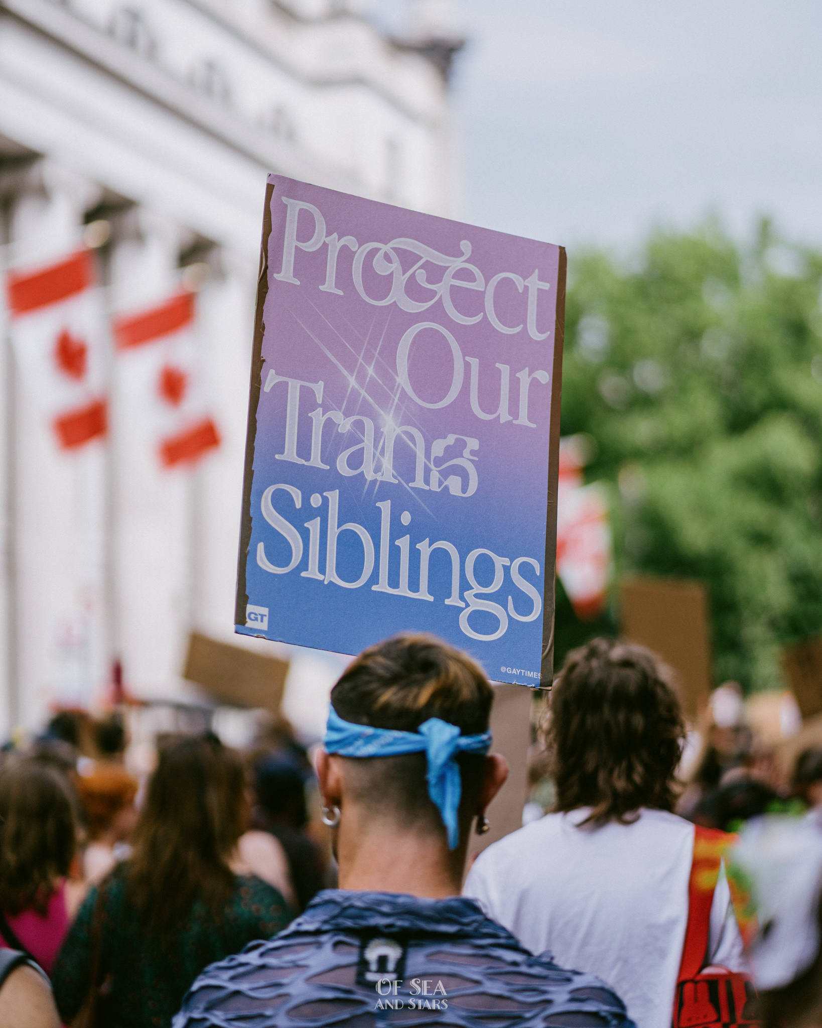 image 25