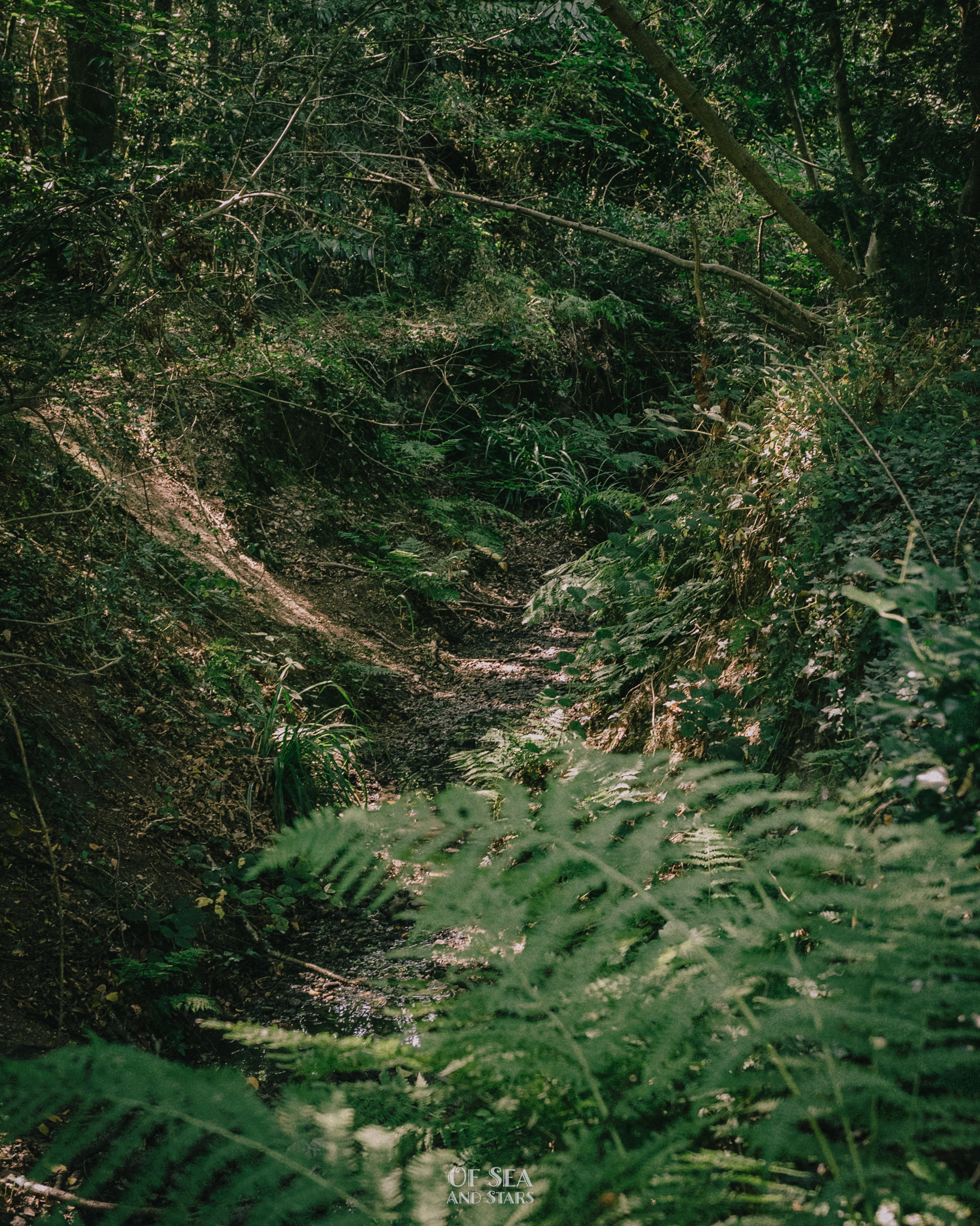 image 33