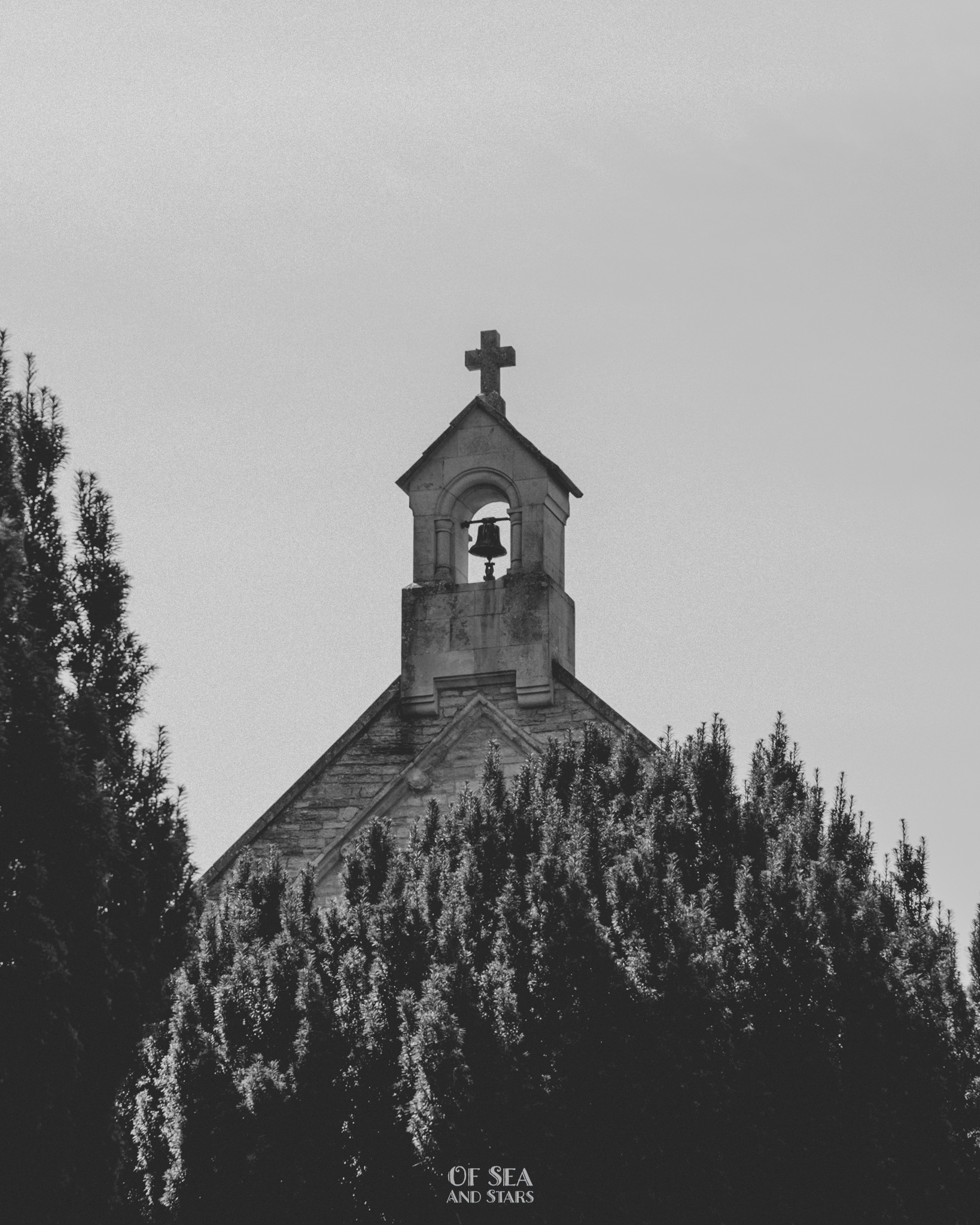 image 38