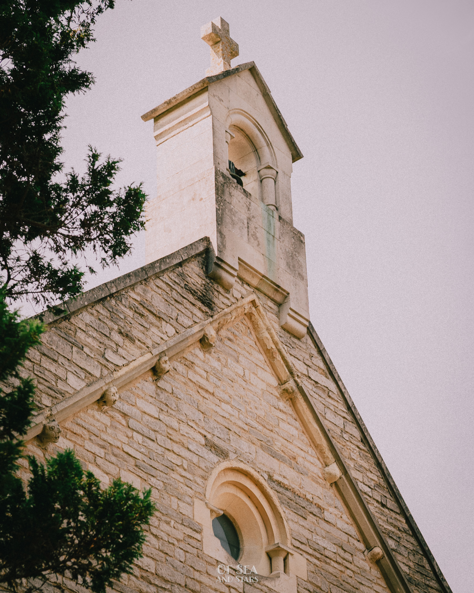 image 41