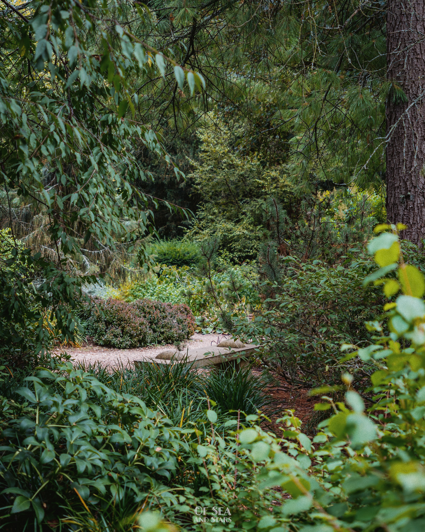 image 67
