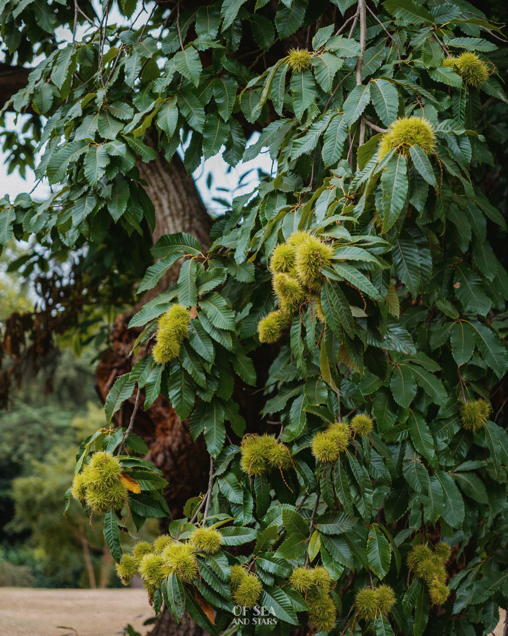image 68