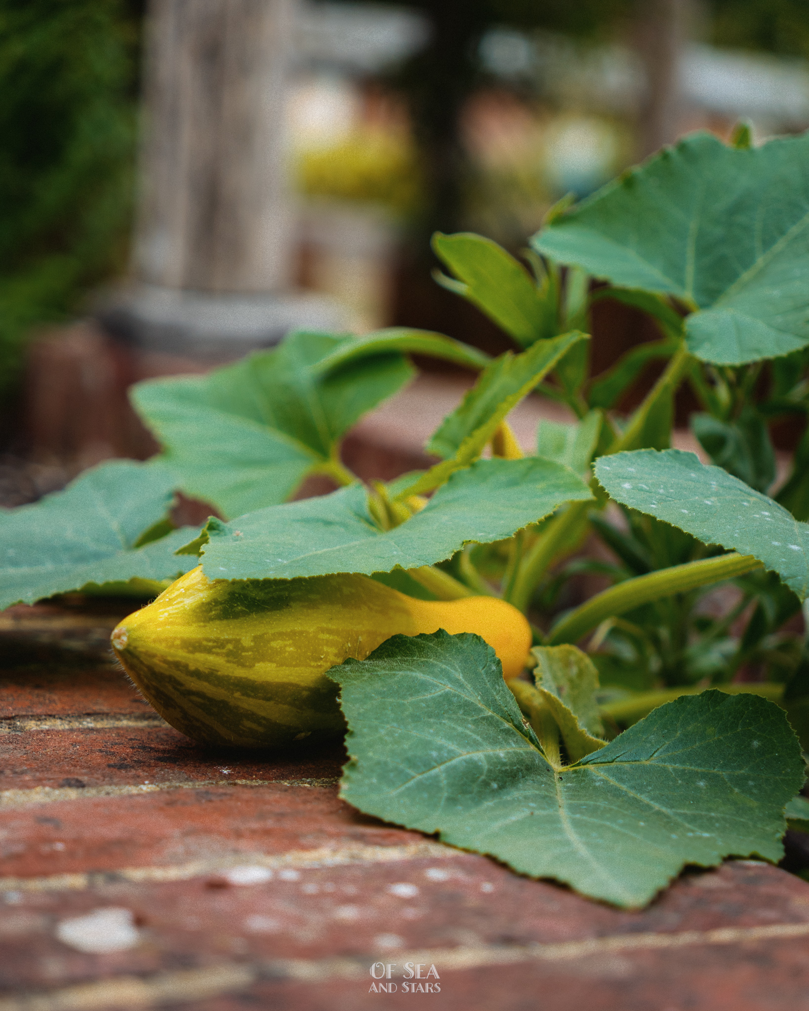 image 70