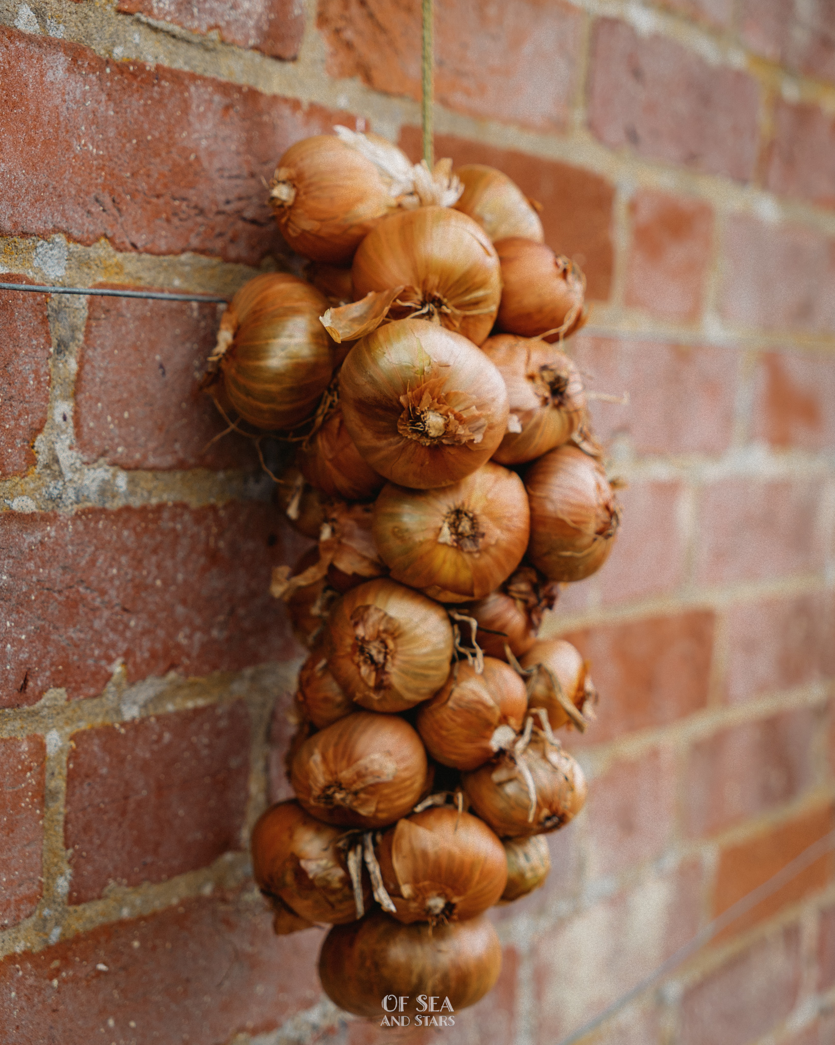 image 78