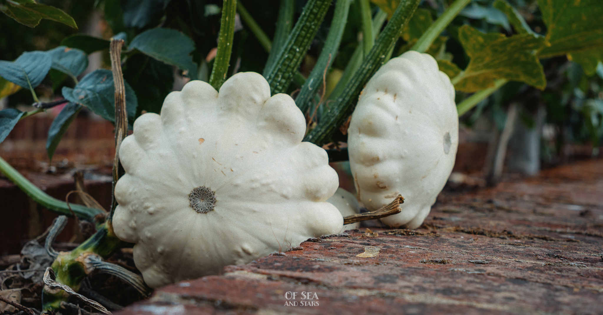 image 96