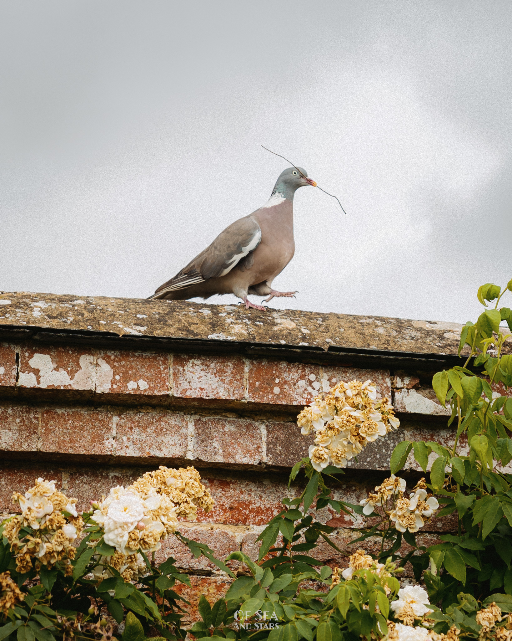 image 98
