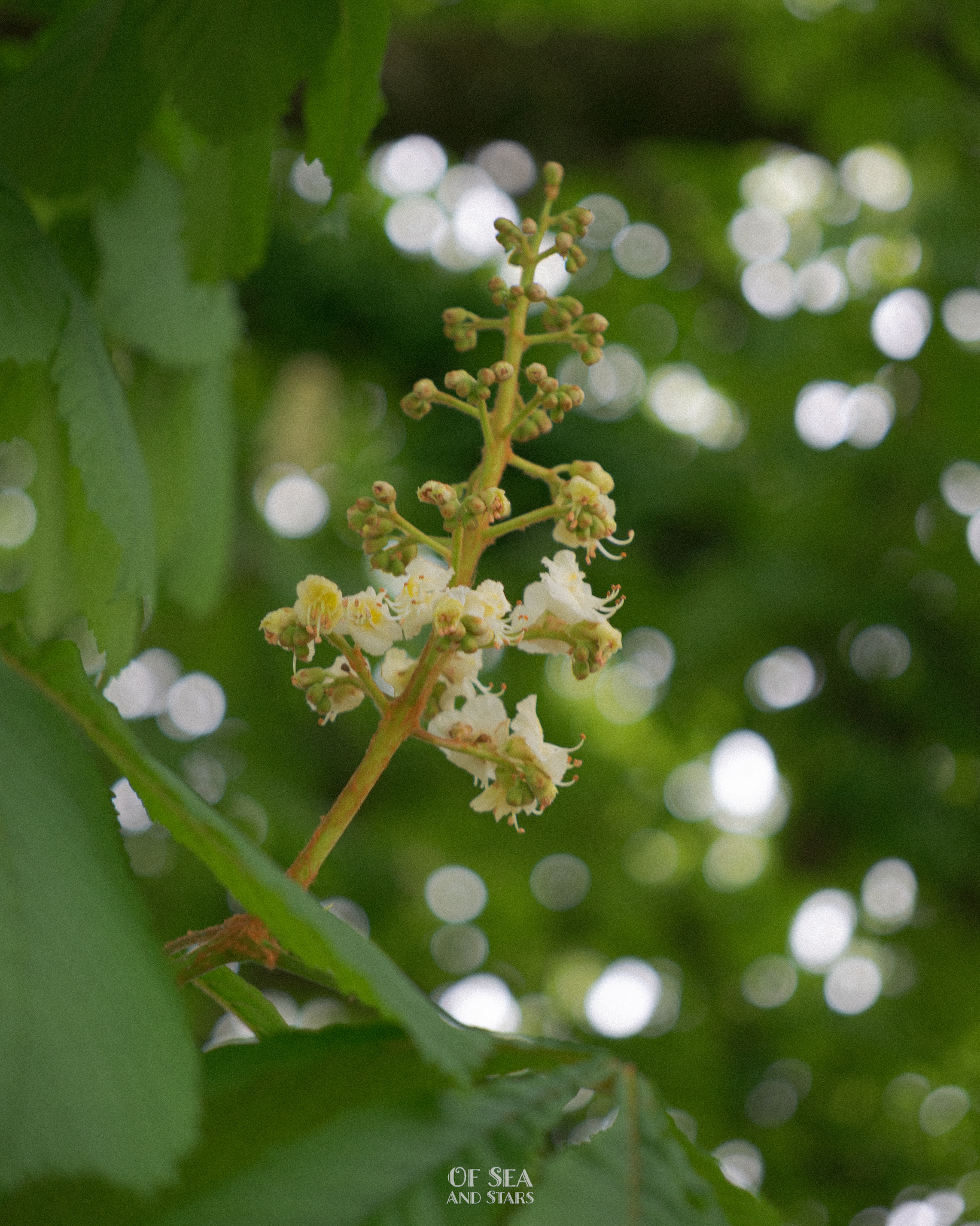 image 105