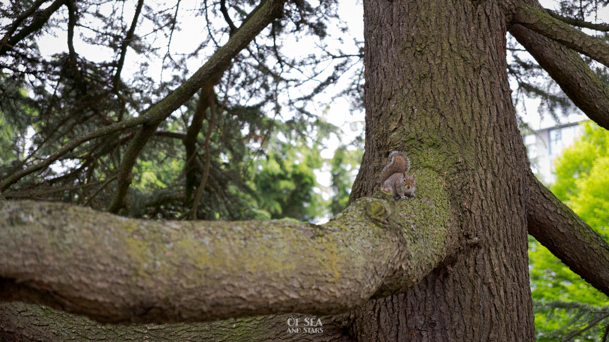 image 107