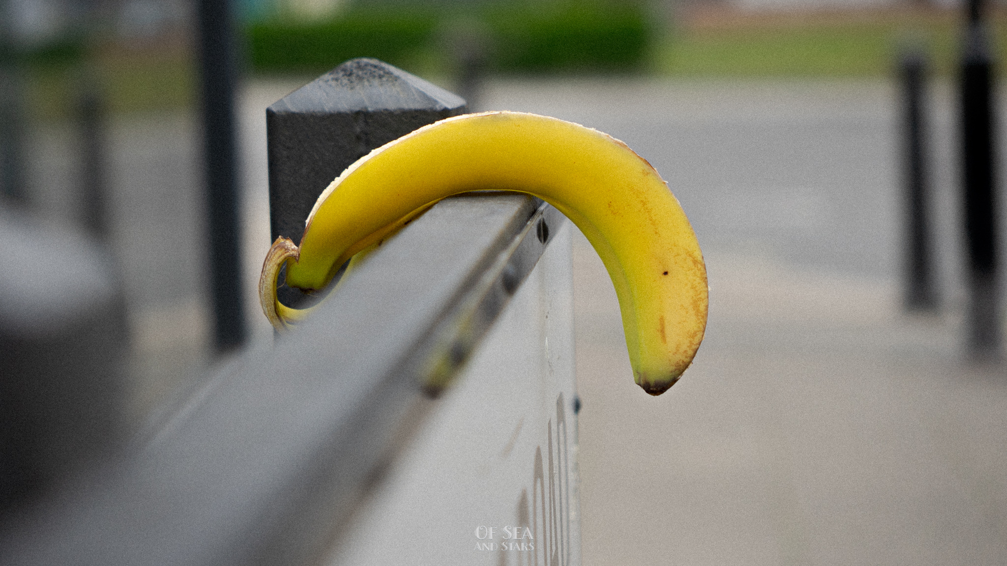 image 108