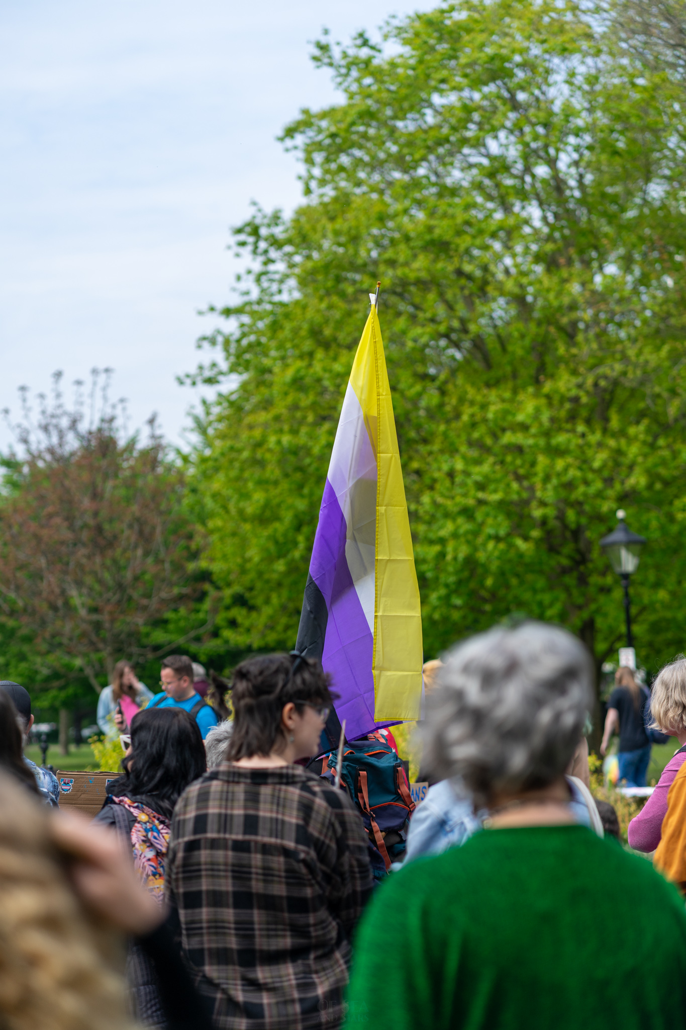image 115