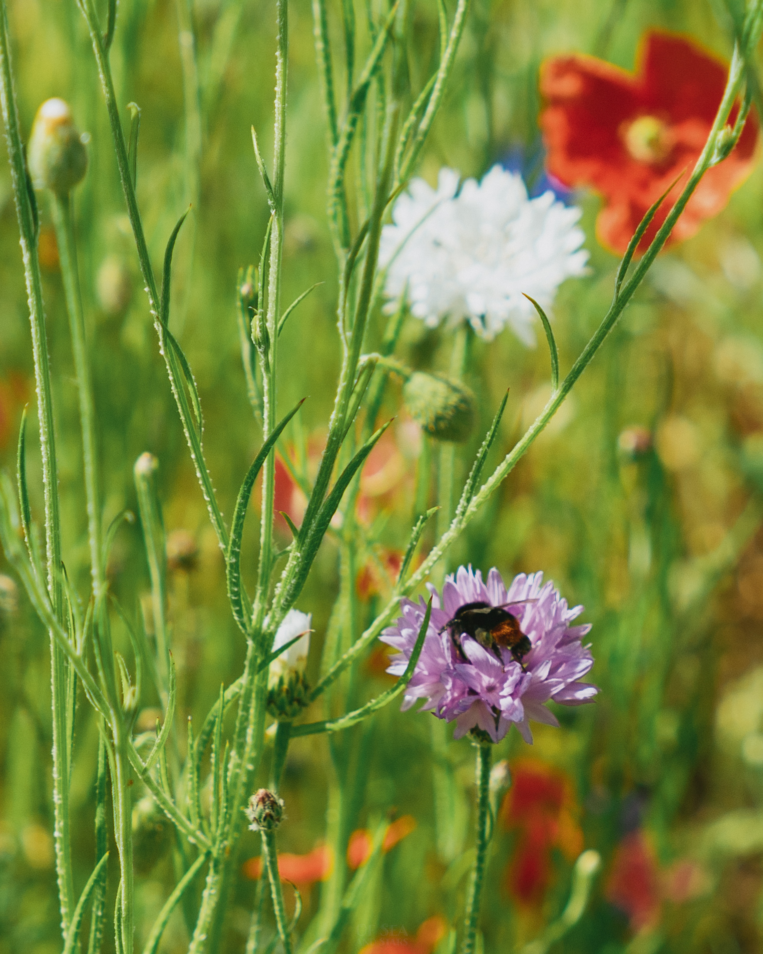 image 122